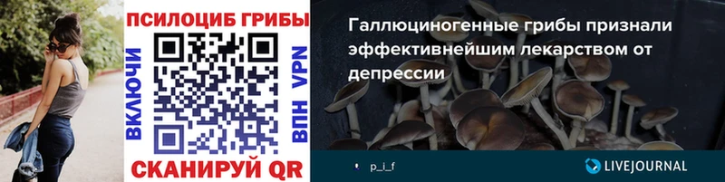 Галлюциногенные грибы ЛСД Вихоревка