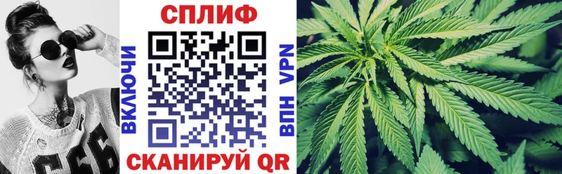 Шишки марихуана Ganja как найти наркотики Вихоревка